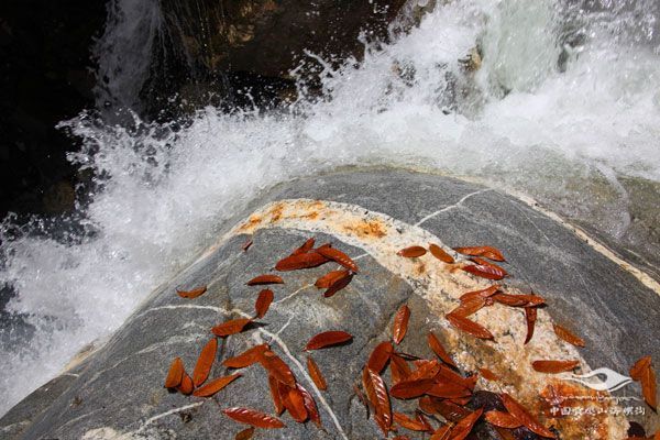 /hlg-cms/ueditor/download?id=869017165964165120