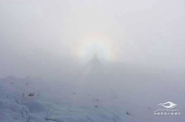 /hlg-cms/ueditor/download?id=869018420769898496